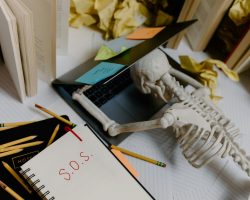 pexels-tara-winstead-8386709